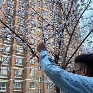 sm超虐调教视频
